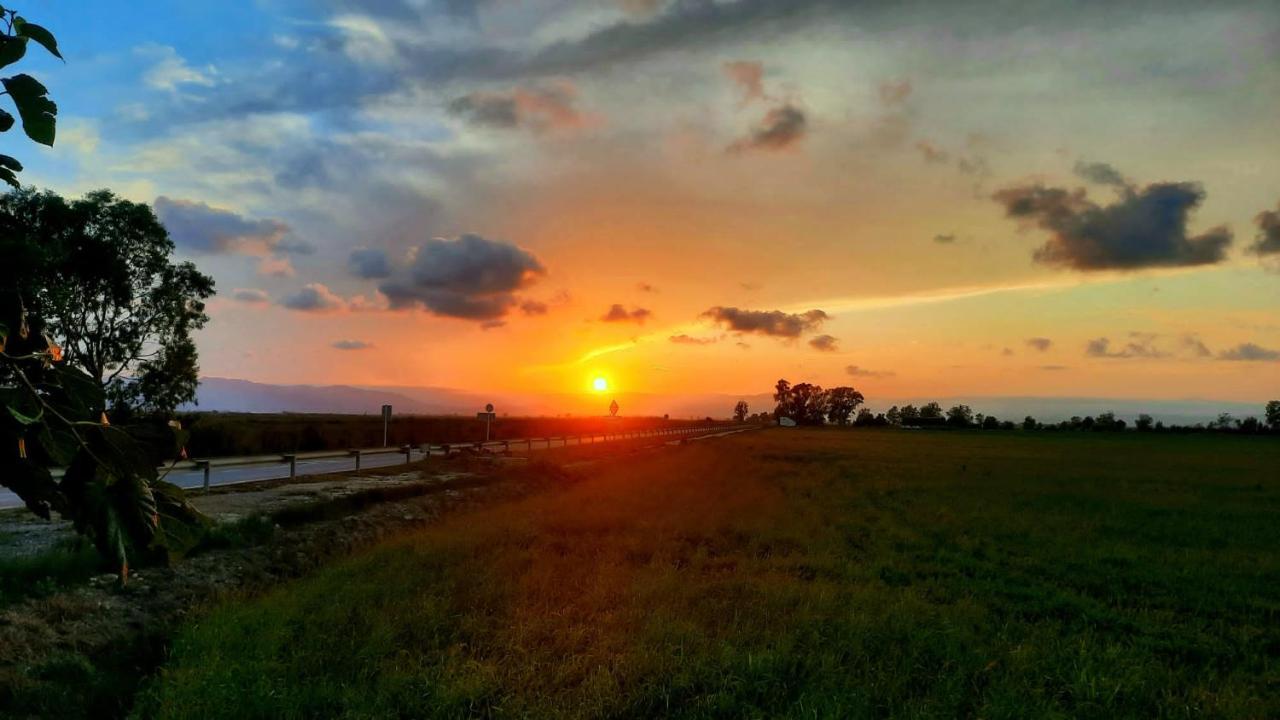 Willa La Calma Del Delta L'Eucaliptus Zewnętrze zdjęcie